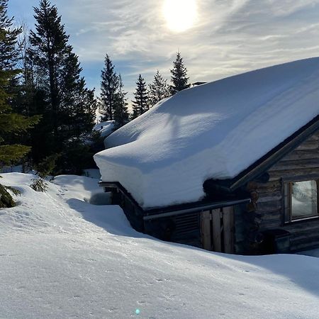Villa Saarua By The Slopes Ski In, Family & Bike Park, Hike Trails, National Park, Wifi - Lapland Villas Ruka Exteriör bild