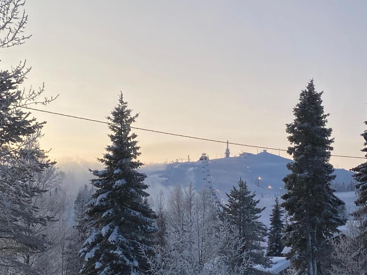 Villa Saarua By The Slopes Ski In, Family & Bike Park, Hike Trails, National Park, Wifi - Lapland Villas Ruka Exteriör bild