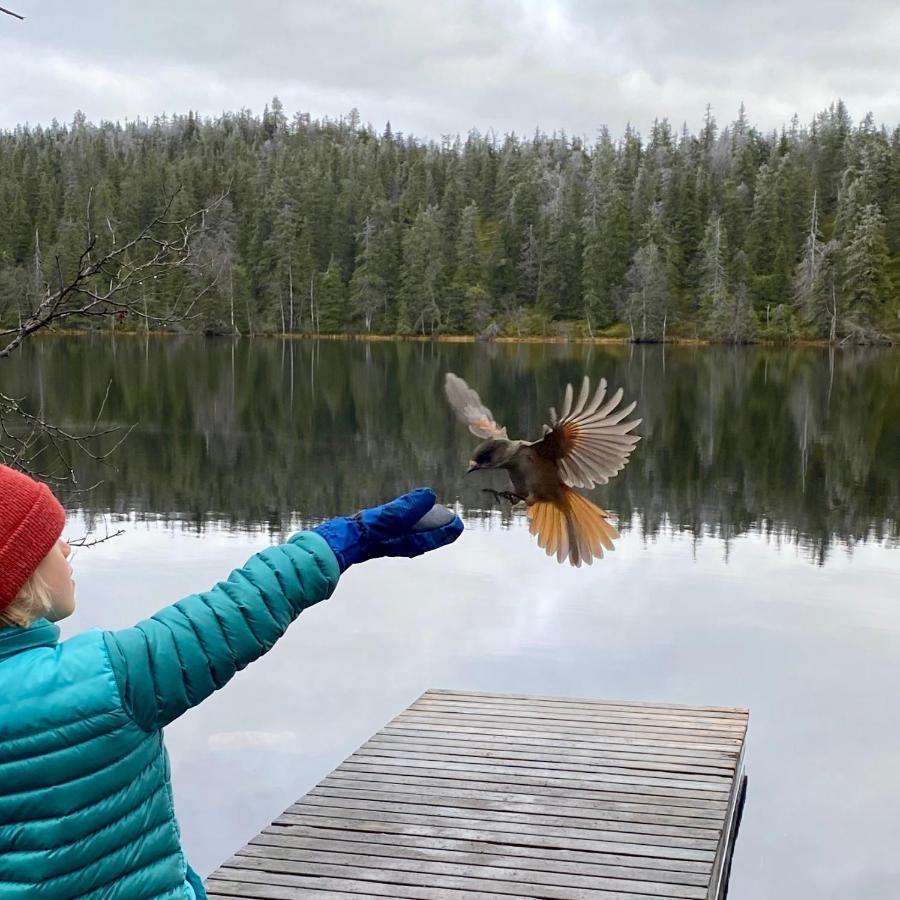 Villa Saarua By The Slopes Ski In, Family & Bike Park, Hike Trails, National Park, Wifi - Lapland Villas Ruka Exteriör bild