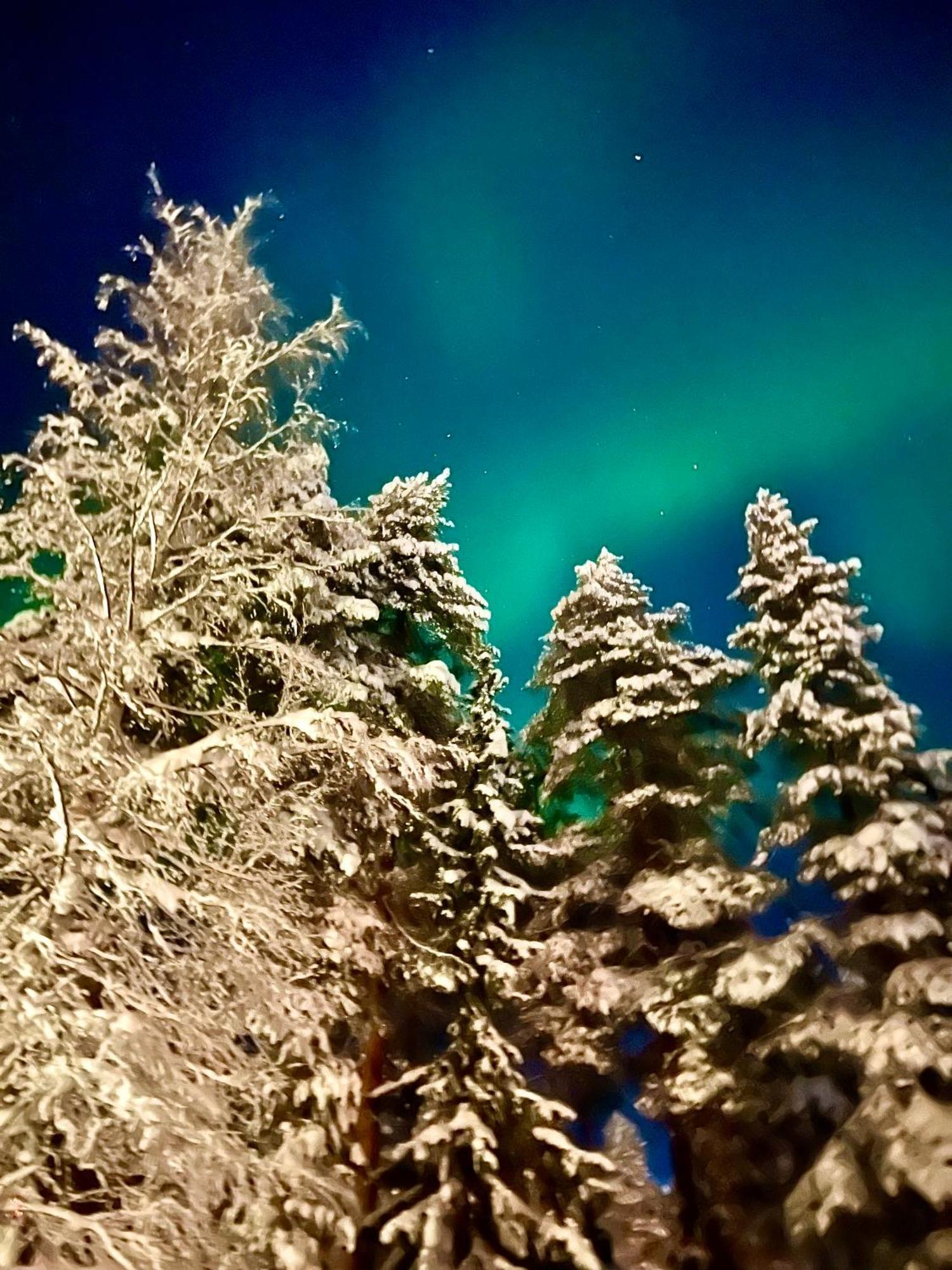 Villa Saarua By The Slopes Ski In, Family & Bike Park, Hike Trails, National Park, Wifi - Lapland Villas Ruka Exteriör bild