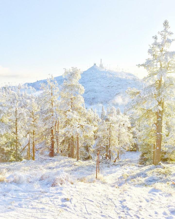 Villa Saarua By The Slopes Ski In, Family & Bike Park, Hike Trails, National Park, Wifi - Lapland Villas Ruka Exteriör bild